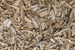 biomass boilers Pentowin